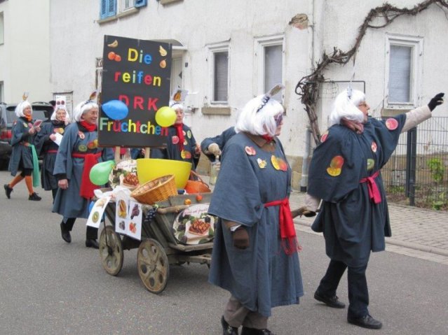 Fasching-2016-26