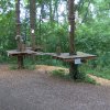 Waldkletterpark-03