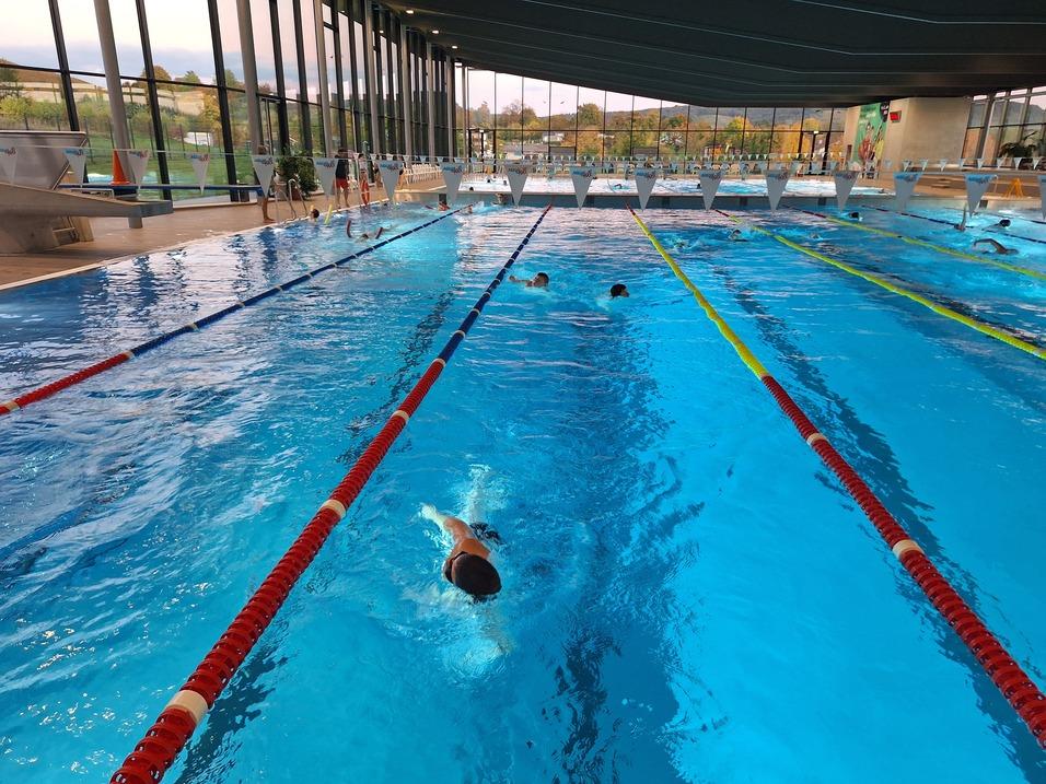 Schwimmer in einem eingelassenen Becken mit mehreren Bahnen und Startbl&ouml;cken, umgeben von gro&szlig;en Fenstern.