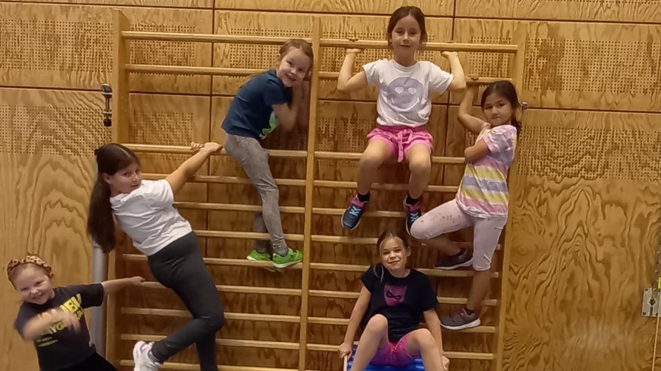 Sechs Kinder spielen an einem Kletterger&uuml;st und einer blauen Wellenrutsche in einer Sporthalle.