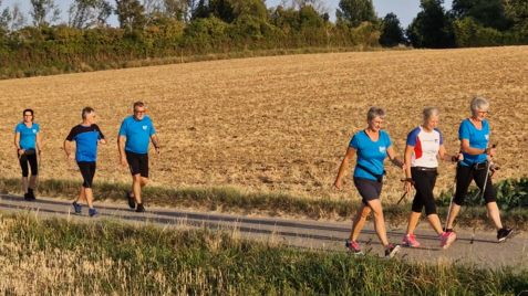 Sechs Personen in blauen T-Shirts gehen mit Nordic-Walking-St&ouml;cken an einem Feldweg entlang.
